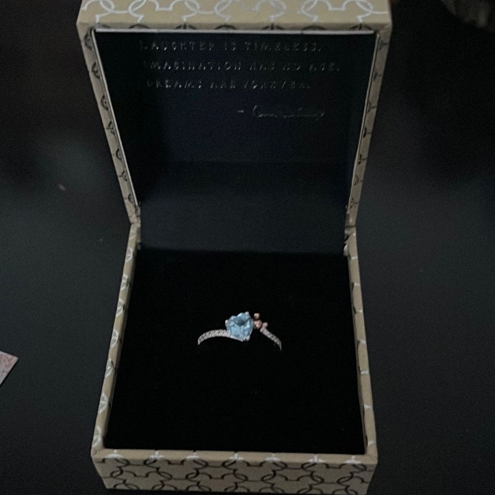 Rebecca hook Disney ring